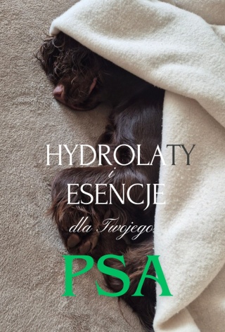 Hydrolaty i esencje dla Twojego psa