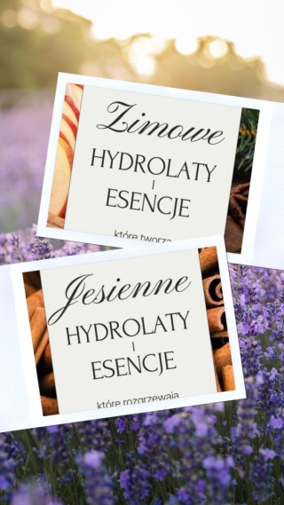 Przewodnik Sezonowy: Jesień & Zima