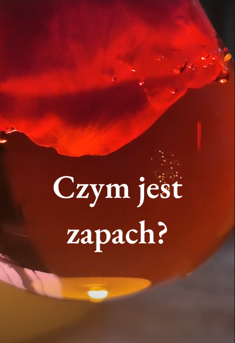 Czym-jest-zapach.png